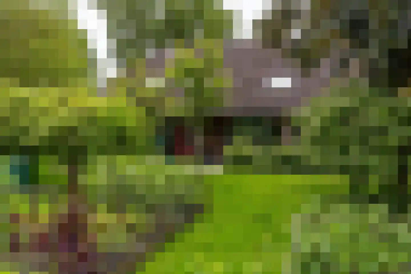 Paddepoelsterweg 17 Groningen thumbnail 39