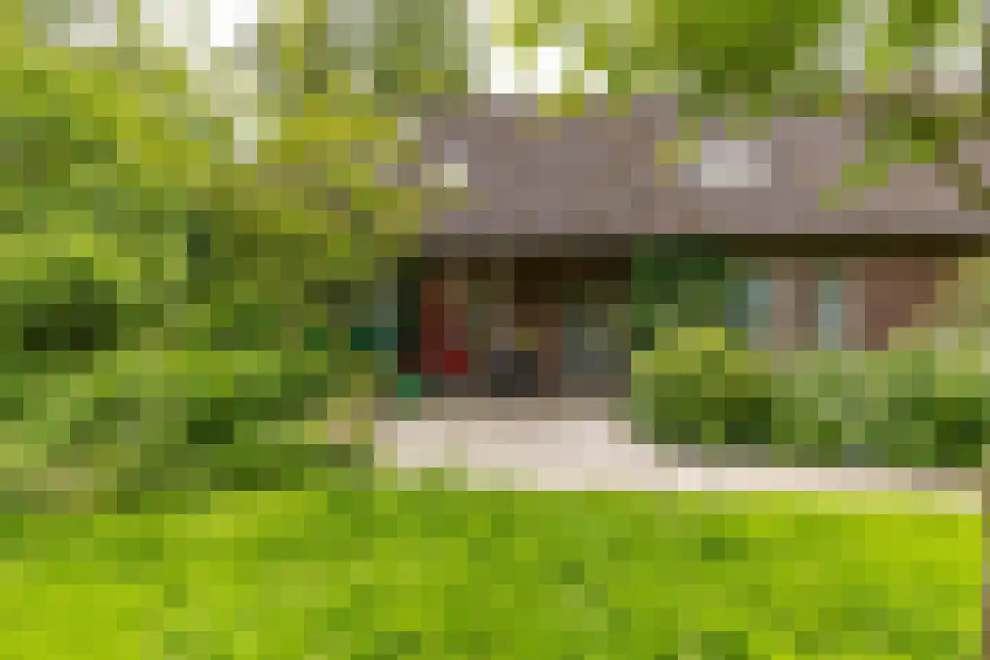 Paddepoelsterweg 17 Groningen thumbnail 4