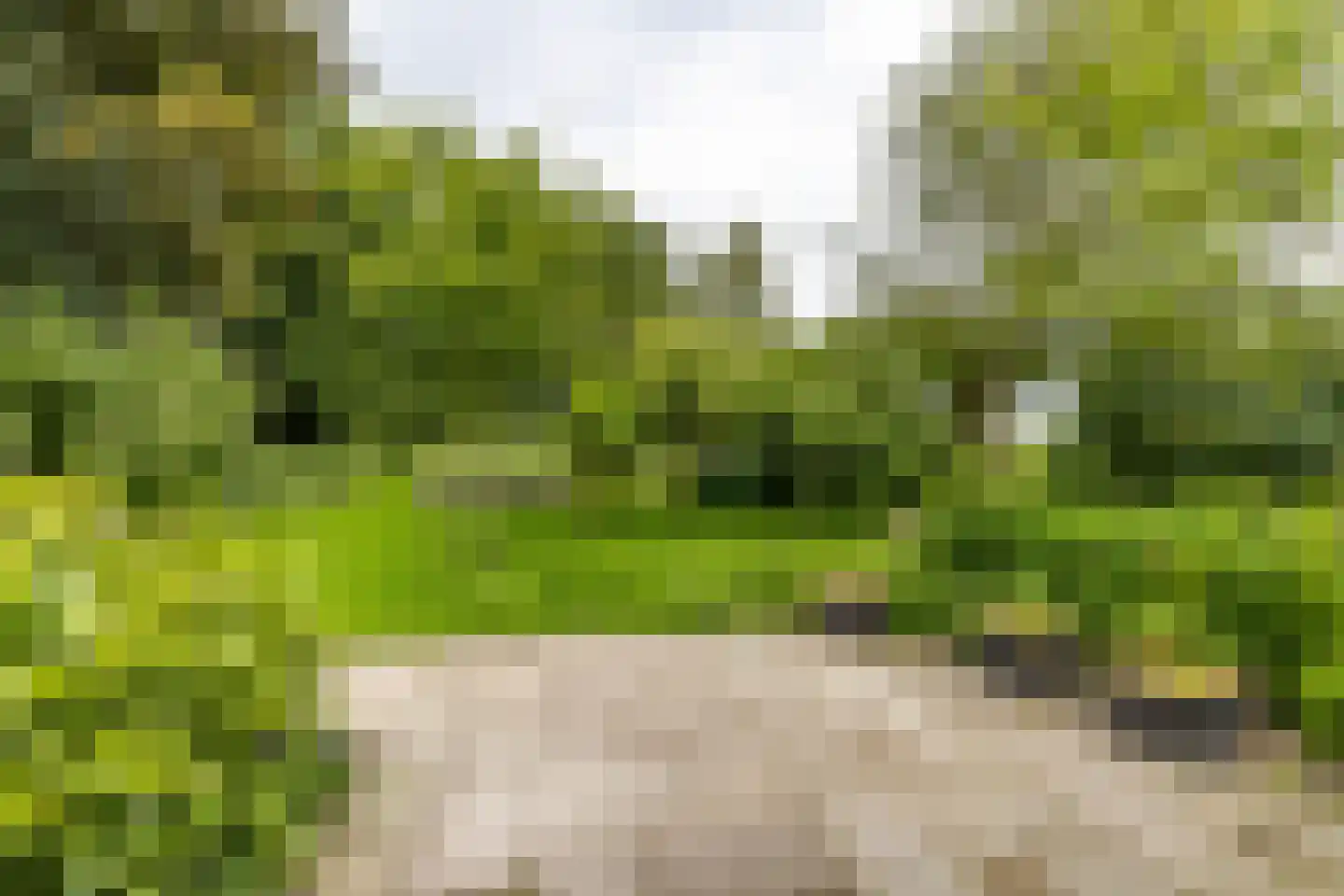 Paddepoelsterweg 17 Groningen thumbnail 40