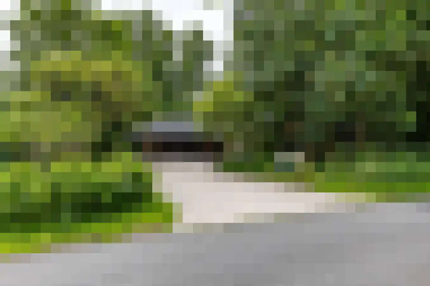 Paddepoelsterweg 17 Groningen thumbnail 41