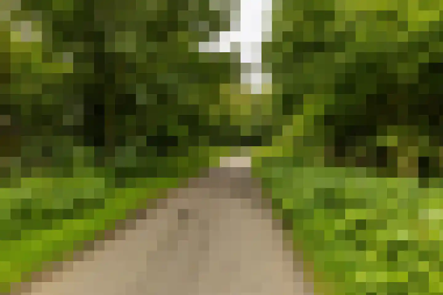 Paddepoelsterweg 17 Groningen thumbnail 43