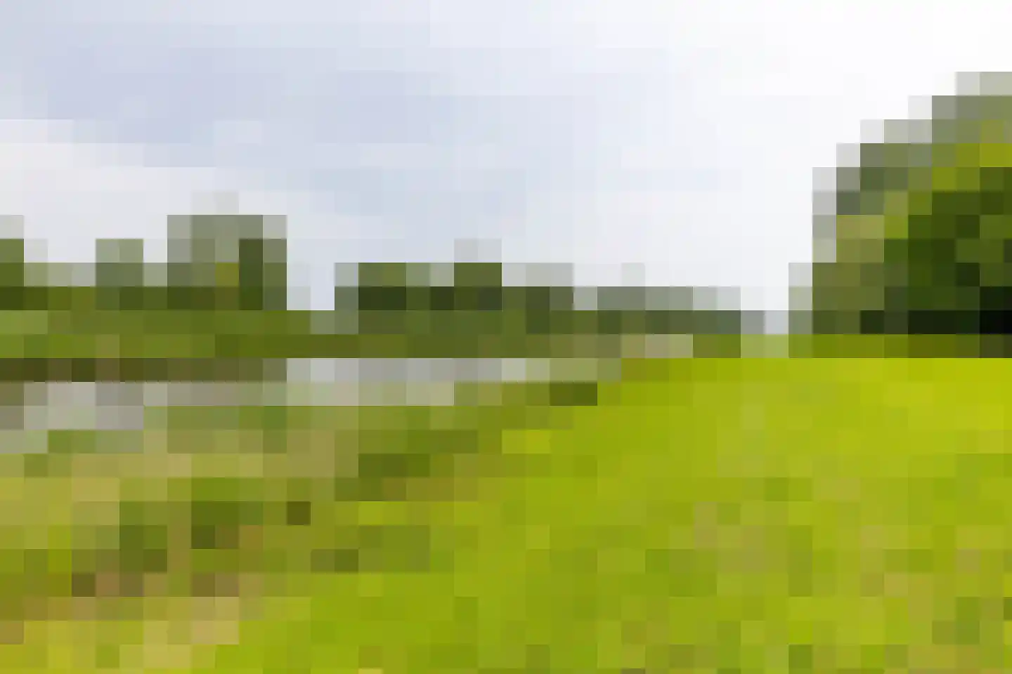 Paddepoelsterweg 17 Groningen thumbnail 45