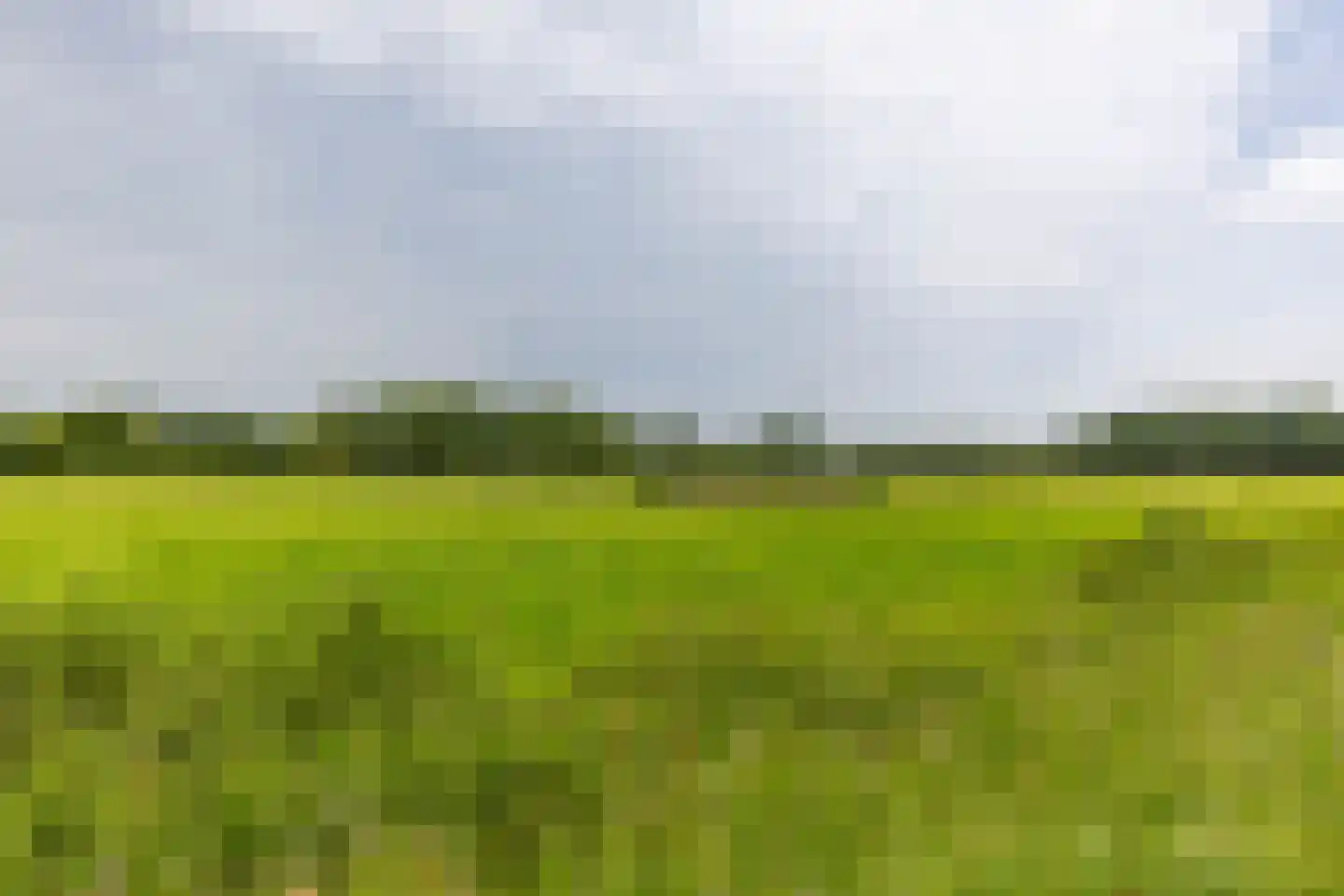 Paddepoelsterweg 17 Groningen thumbnail 46