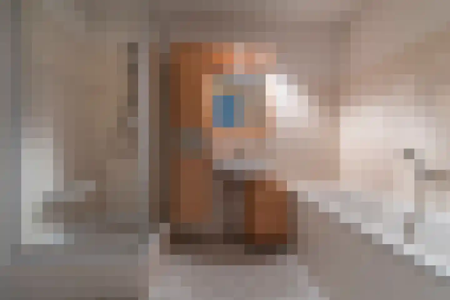 Paddestoelenlaan 112 Veenendaal thumbnail 22