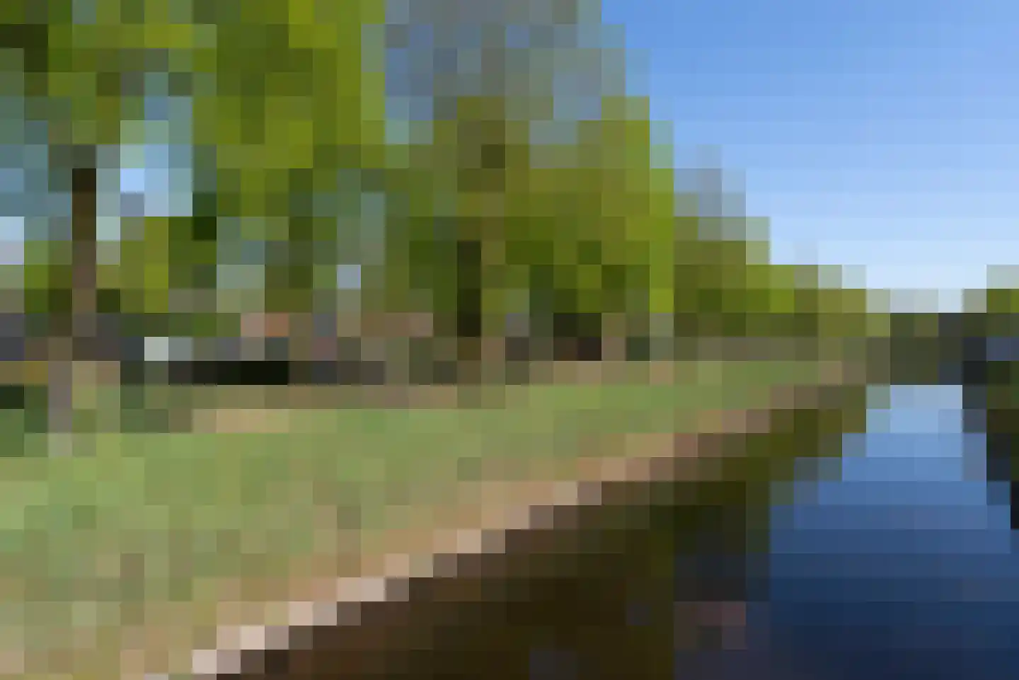 Paddestoelenlaan 112 Veenendaal thumbnail 27