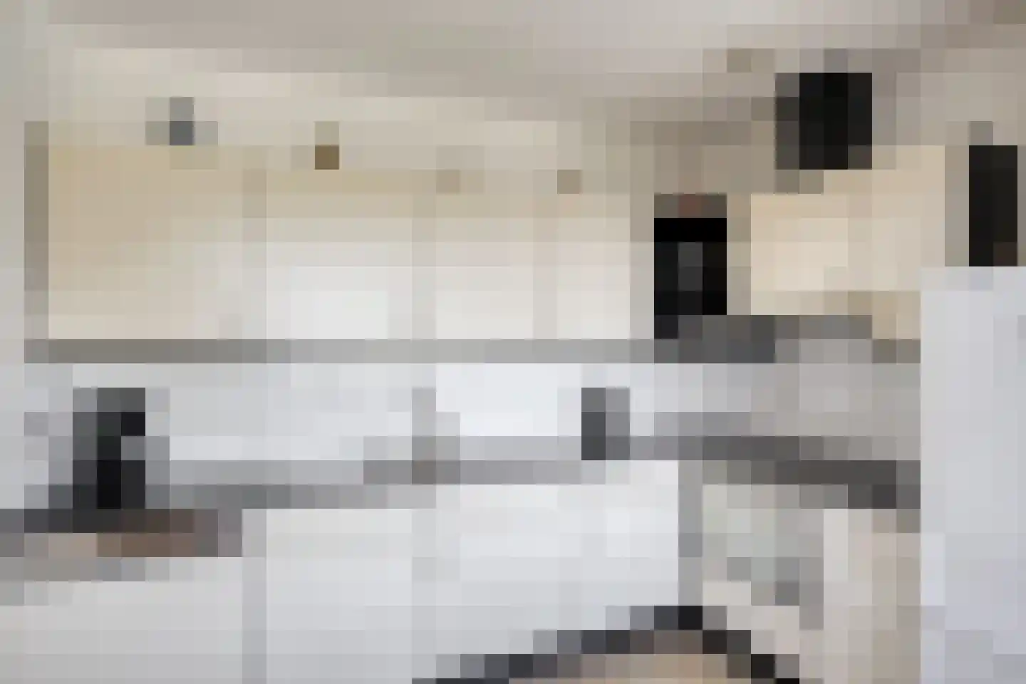 Paddestoelenlaan 116 Veenendaal thumbnail 11