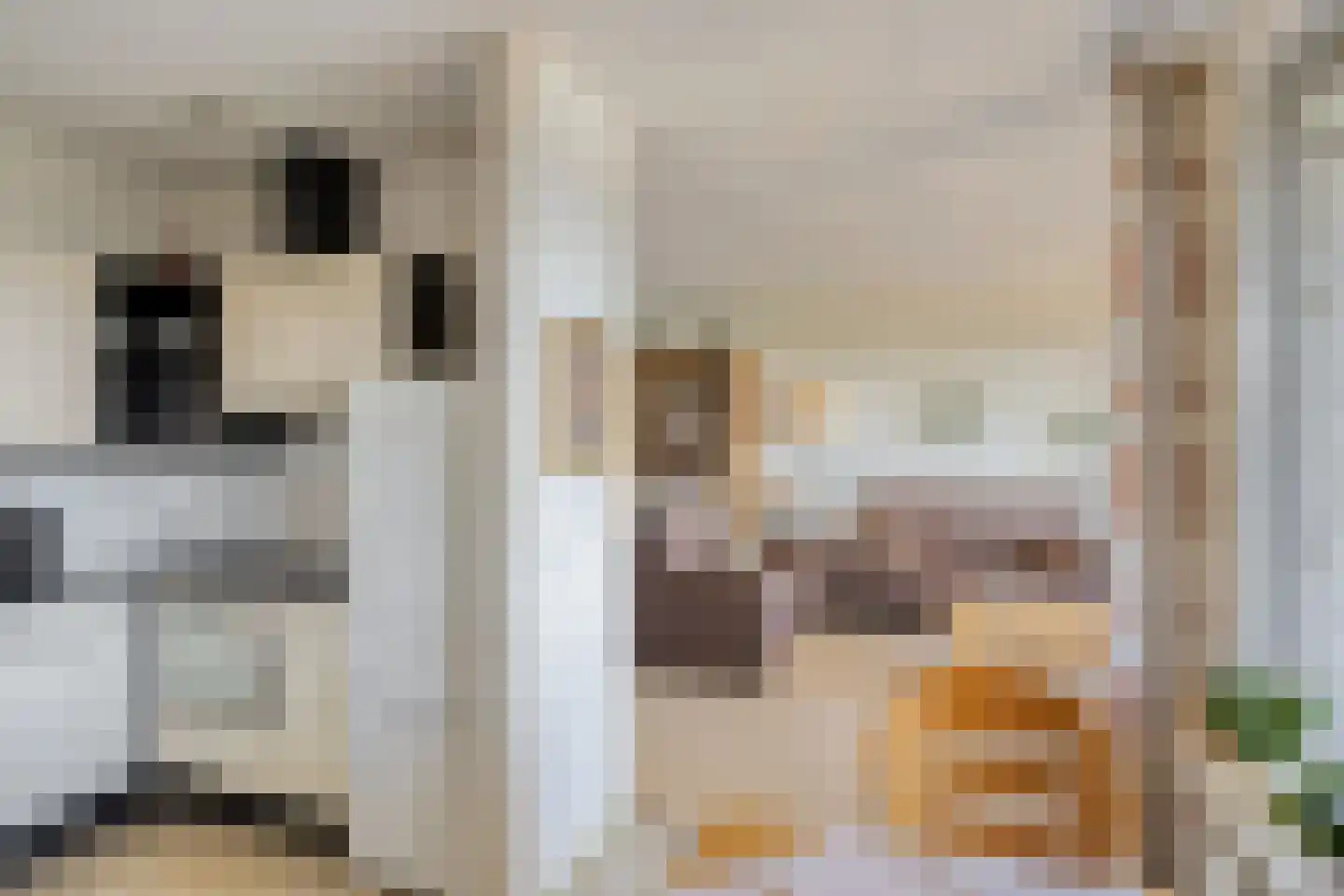 Paddestoelenlaan 116 Veenendaal thumbnail 13