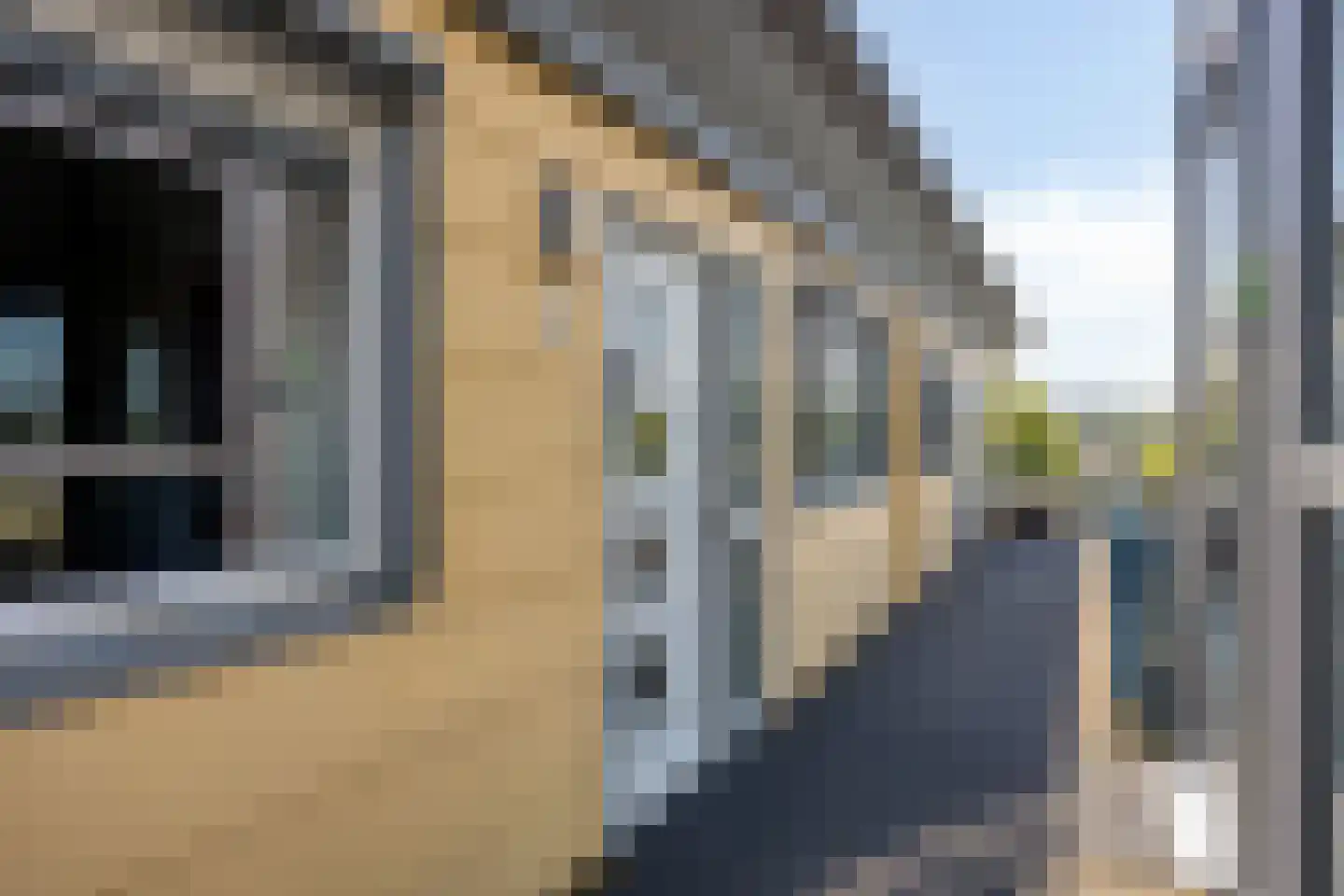 Paddestoelenlaan 116 Veenendaal thumbnail 6