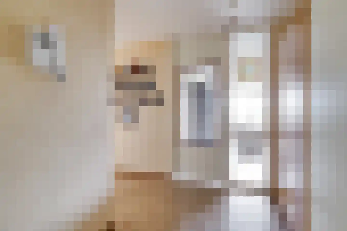 Paddestoelenlaan 32 Veenendaal thumbnail 13