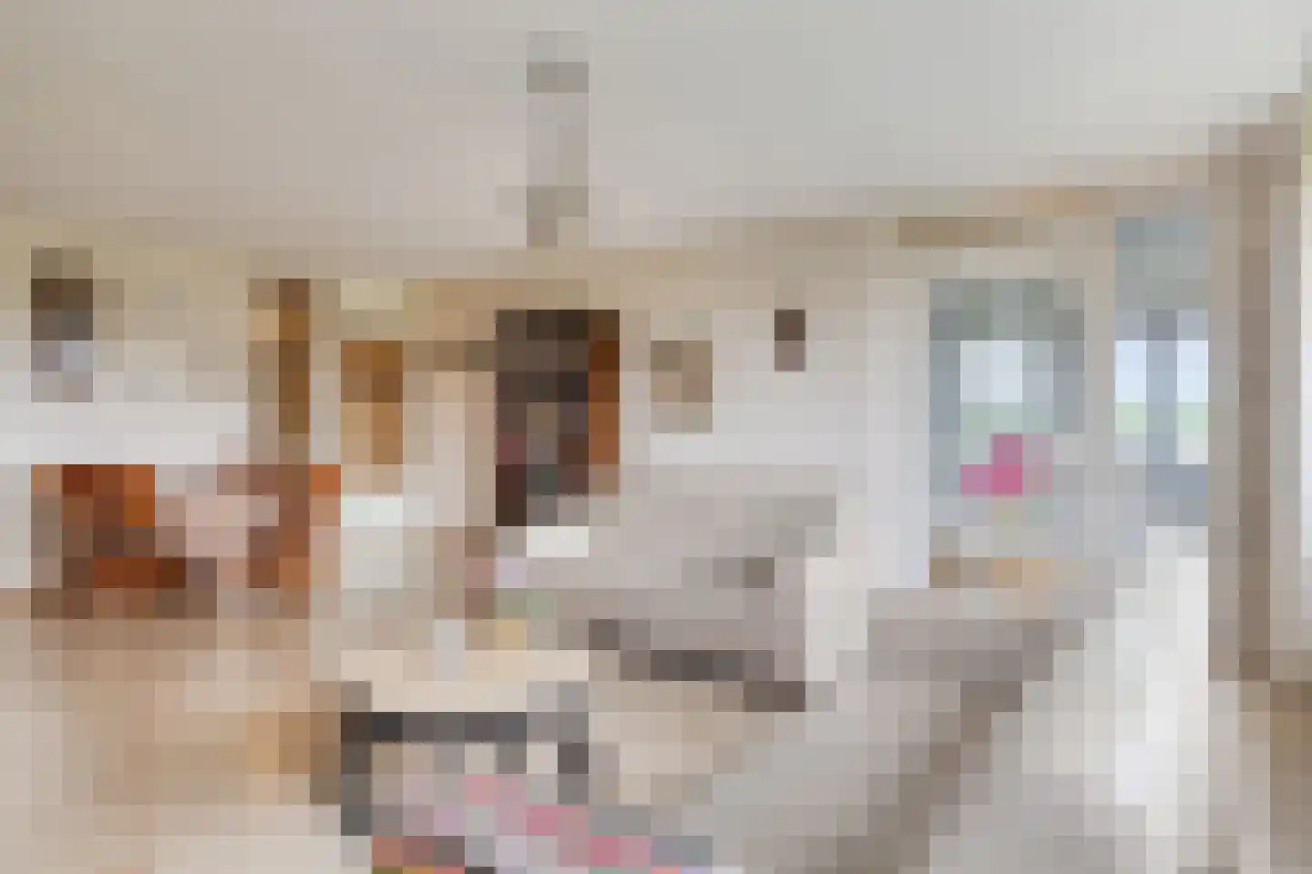Paddestoelenlaan 32 Veenendaal thumbnail 17