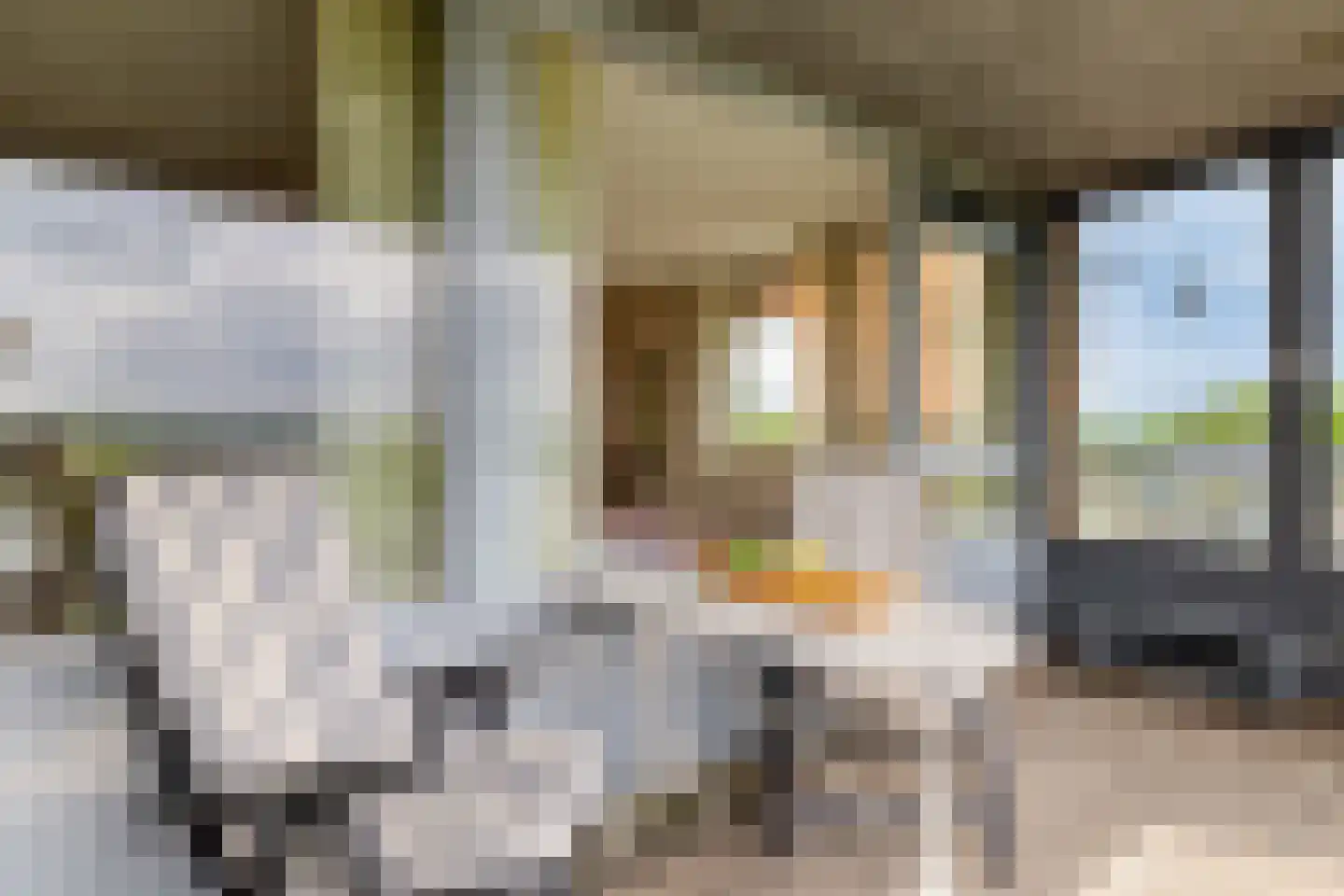 Paddestoelenlaan 32 Veenendaal thumbnail 31