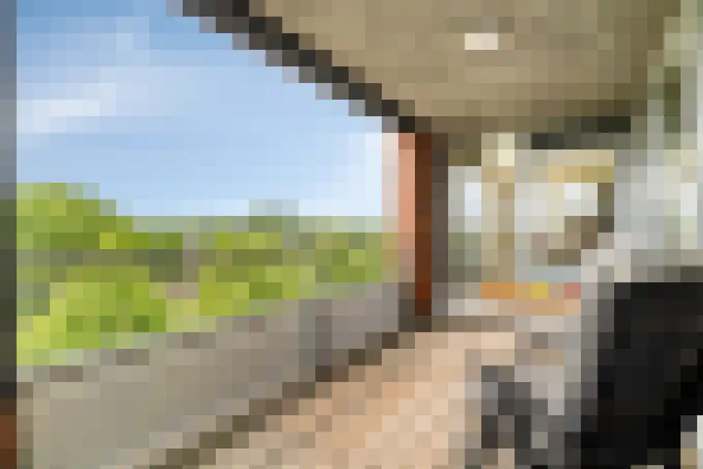Paddestoelenlaan 32 Veenendaal thumbnail 32