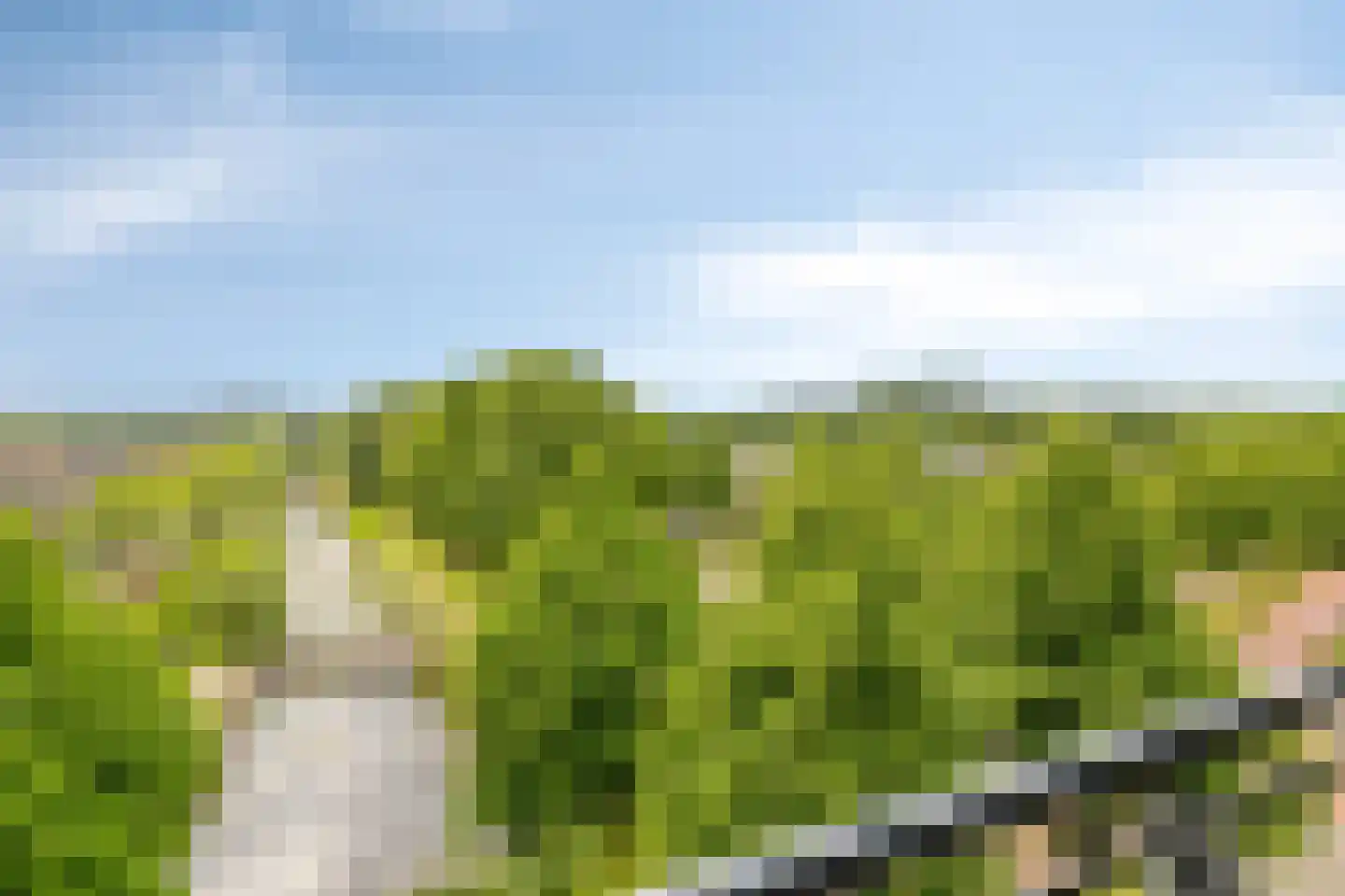 Paddestoelenlaan 32 Veenendaal thumbnail 33