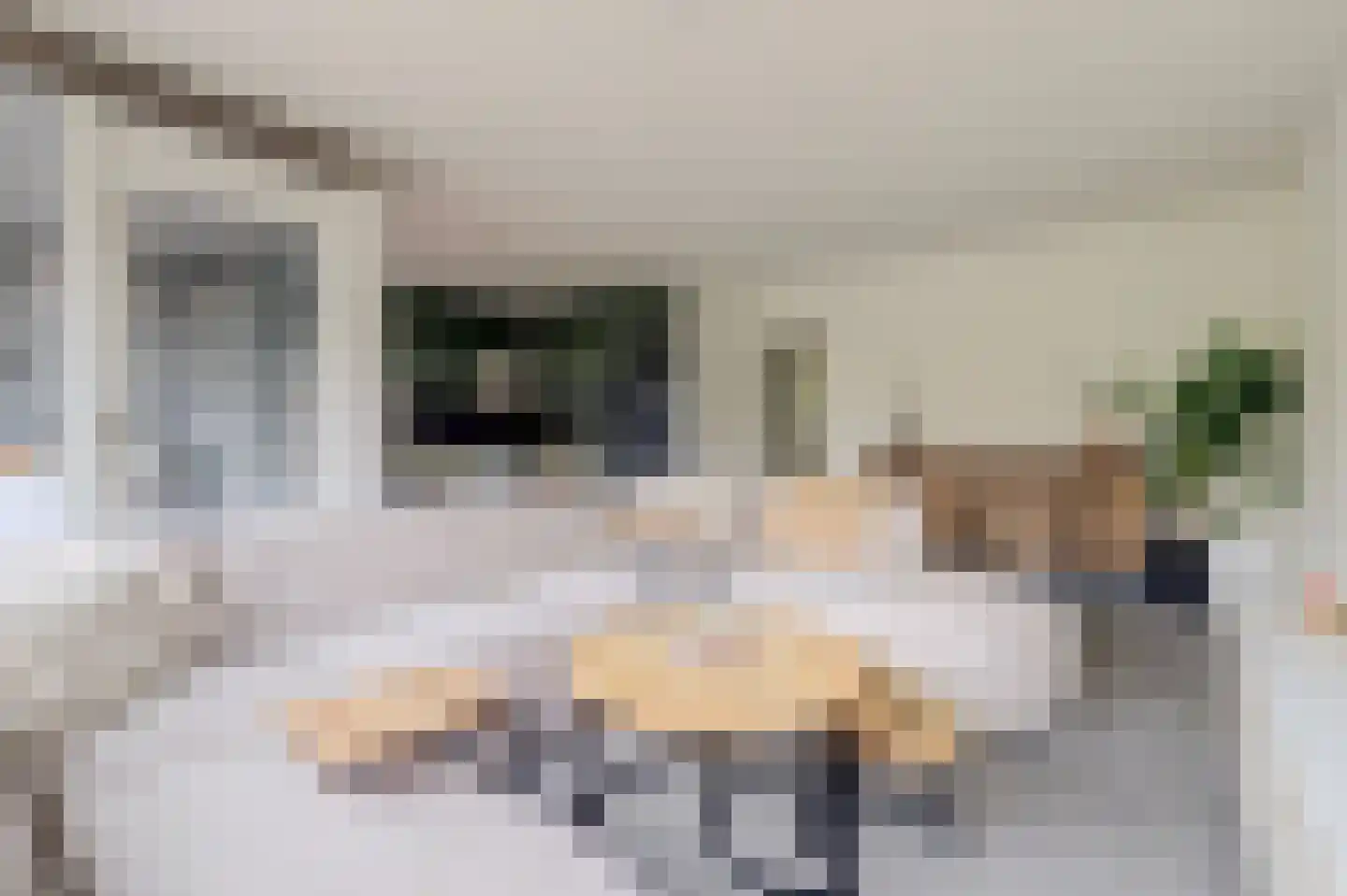 Paddestoelenlaan 62 Veenendaal thumbnail 11