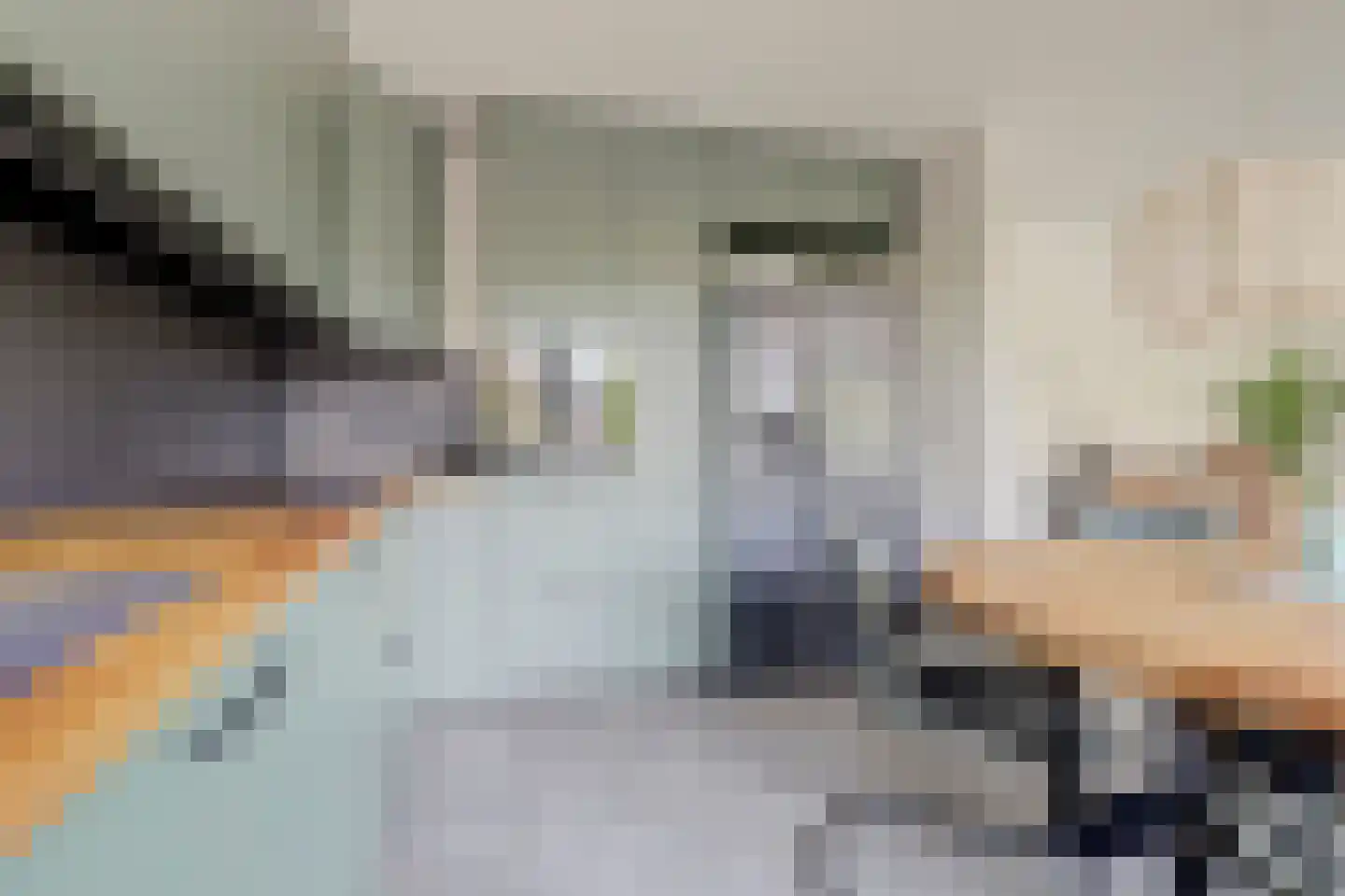 Paddestoelenlaan 62 Veenendaal thumbnail 17