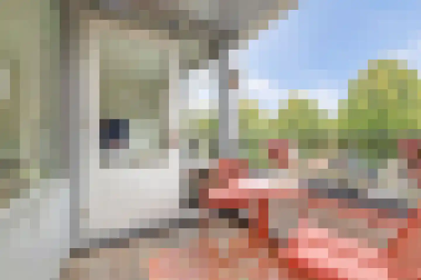 Paddestoelenlaan 62 Veenendaal thumbnail 20