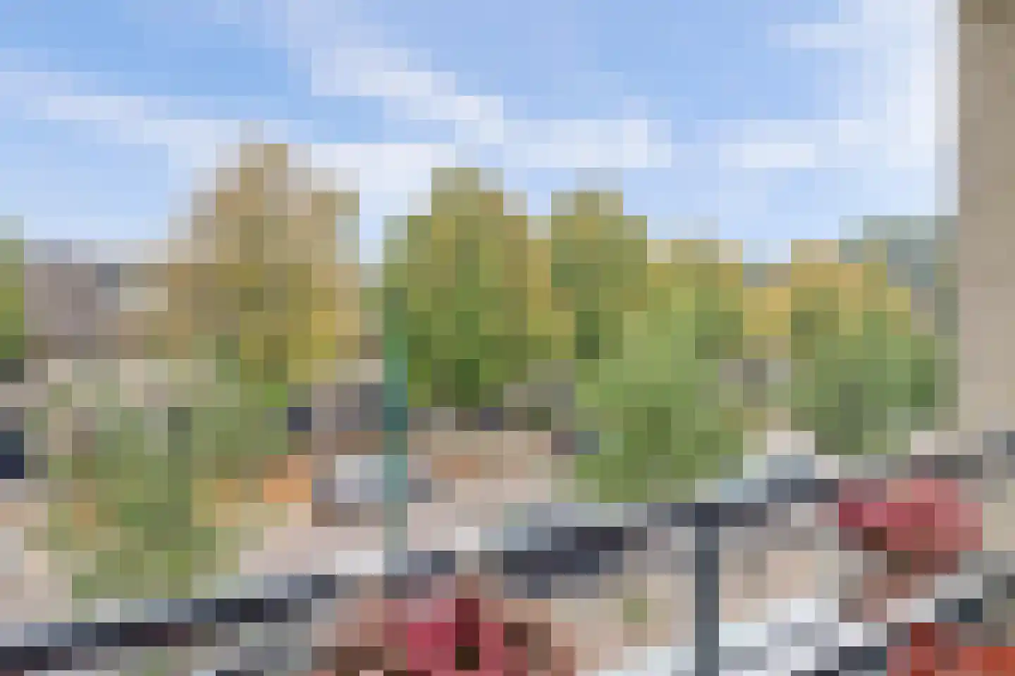 Paddestoelenlaan 62 Veenendaal thumbnail 21