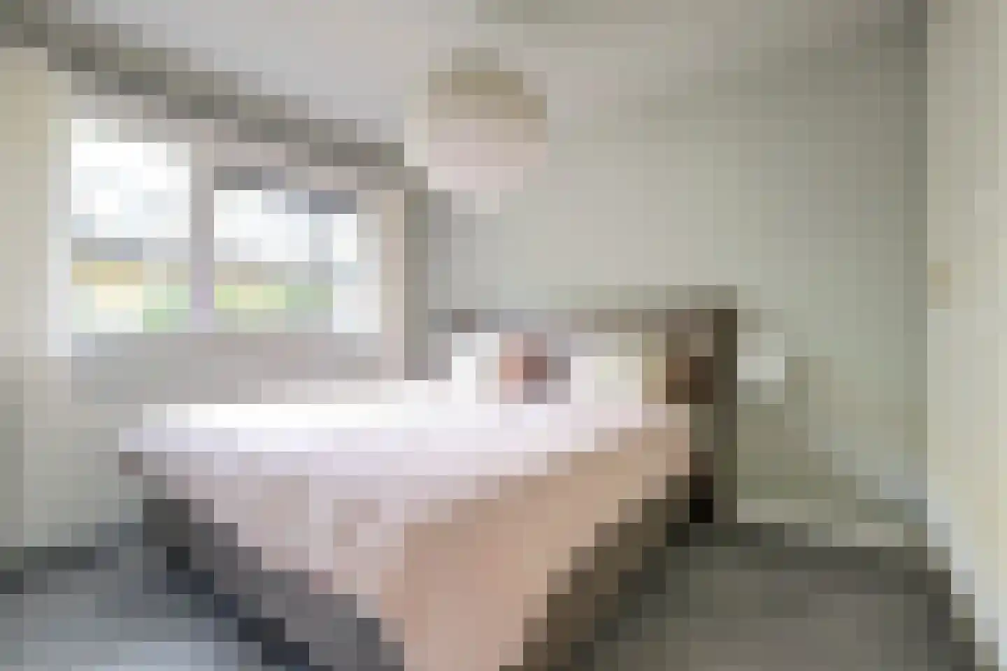 Paddestoelenlaan 62 Veenendaal thumbnail 22