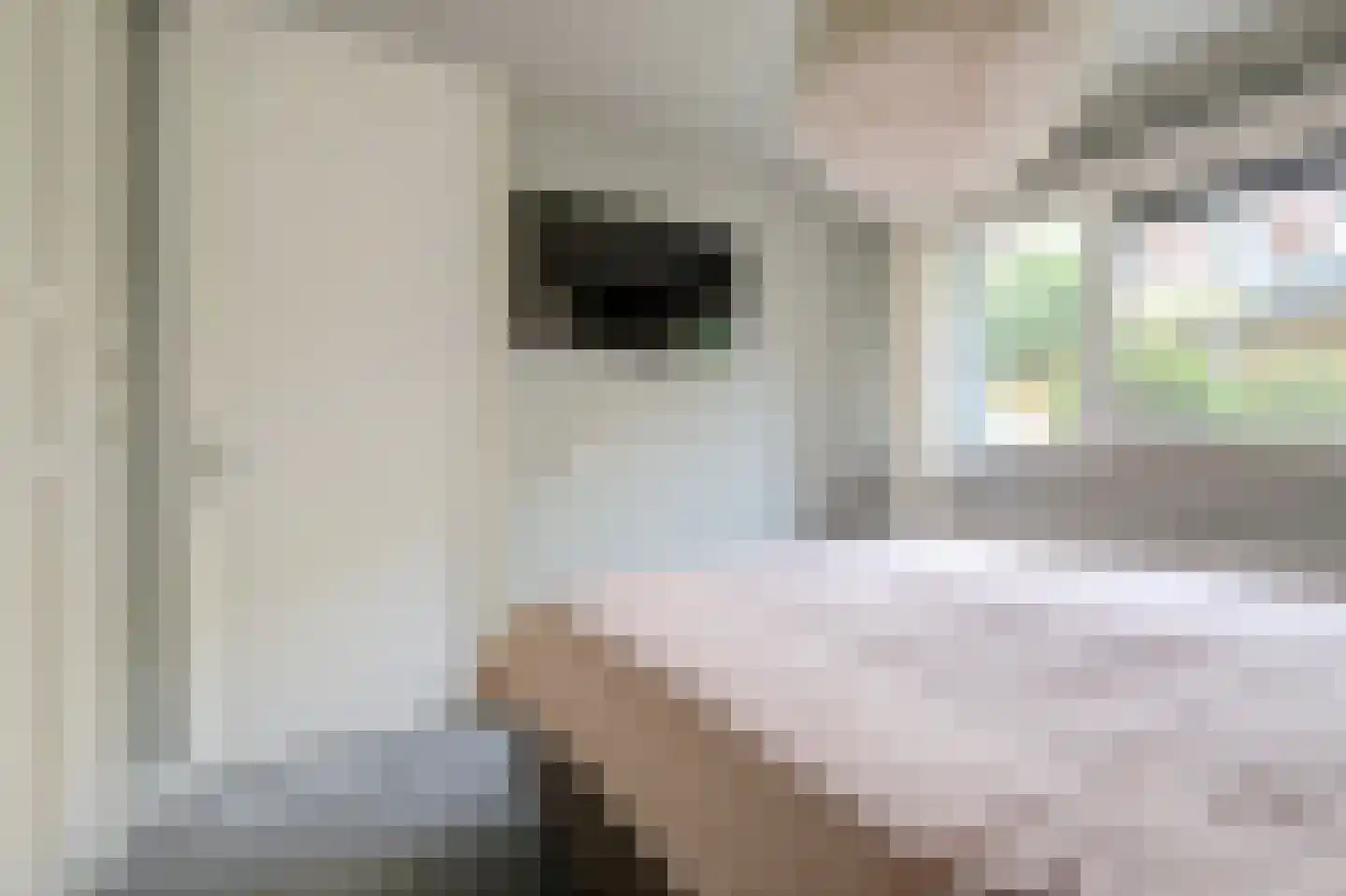 Paddestoelenlaan 62 Veenendaal thumbnail 23