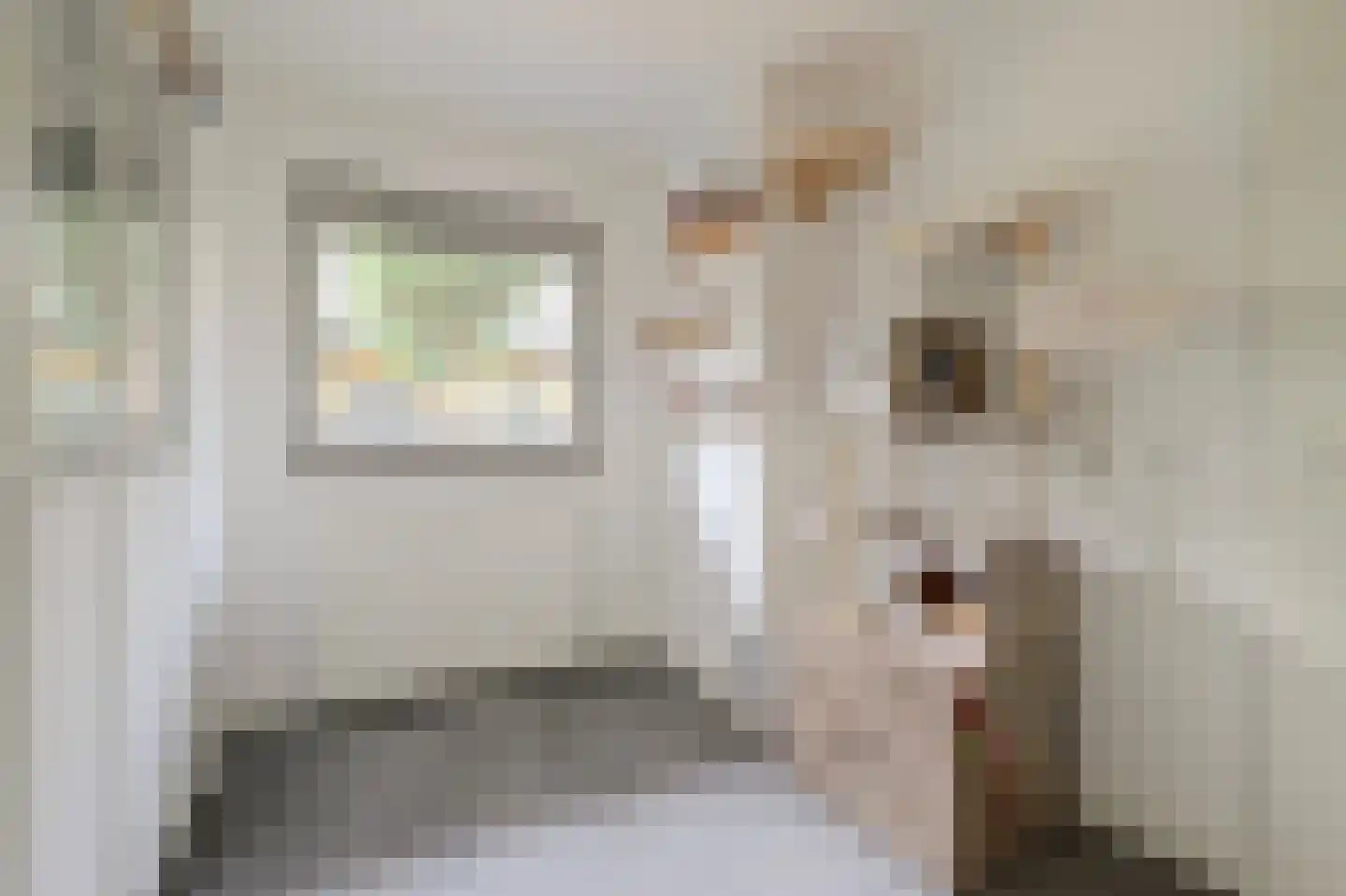 Paddestoelenlaan 62 Veenendaal thumbnail 24