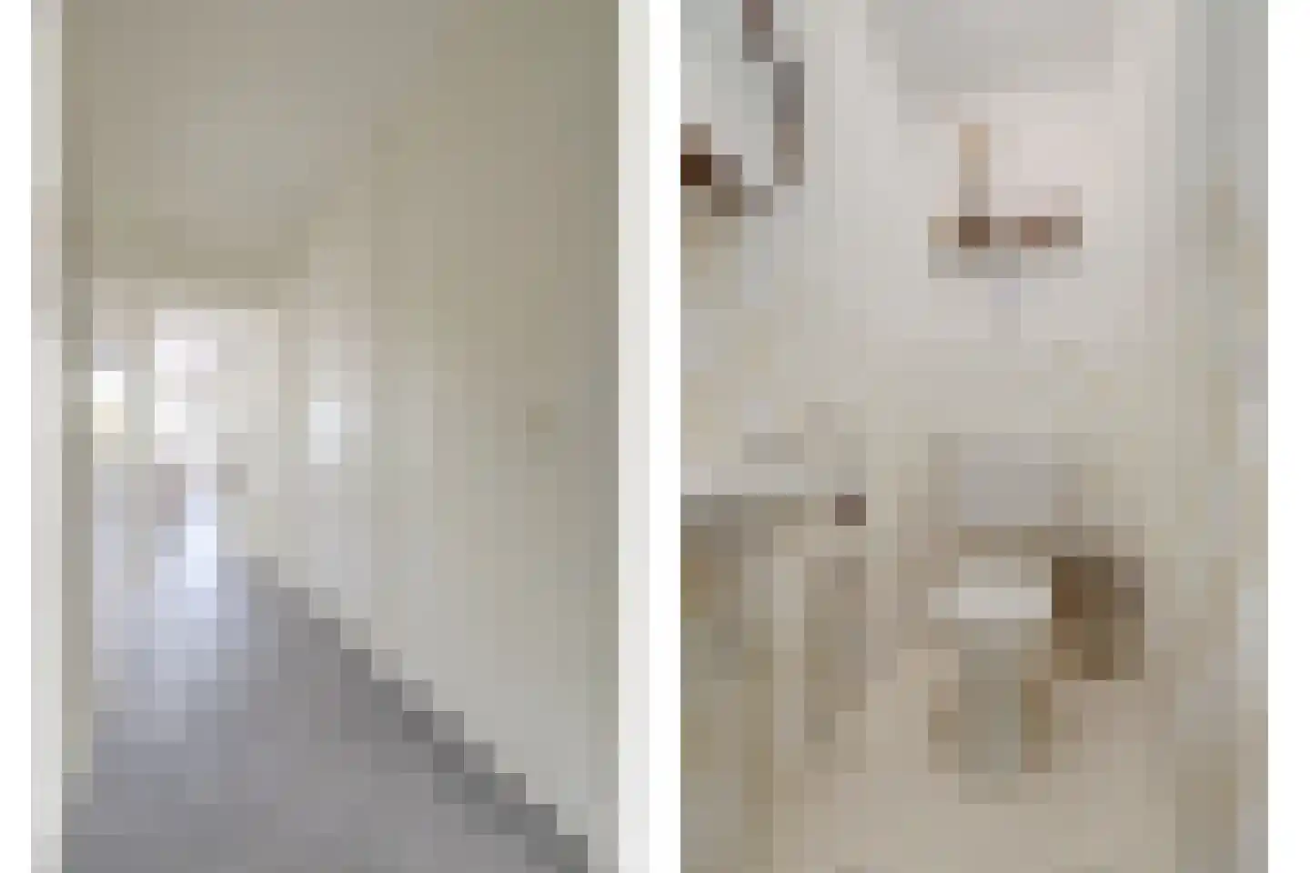 Paddestoelenlaan 62 Veenendaal thumbnail 27