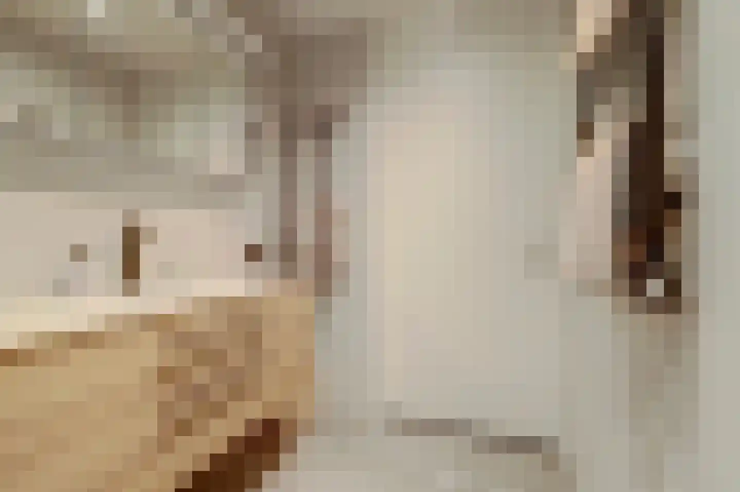 Paddestoelenlaan 62 Veenendaal thumbnail 29