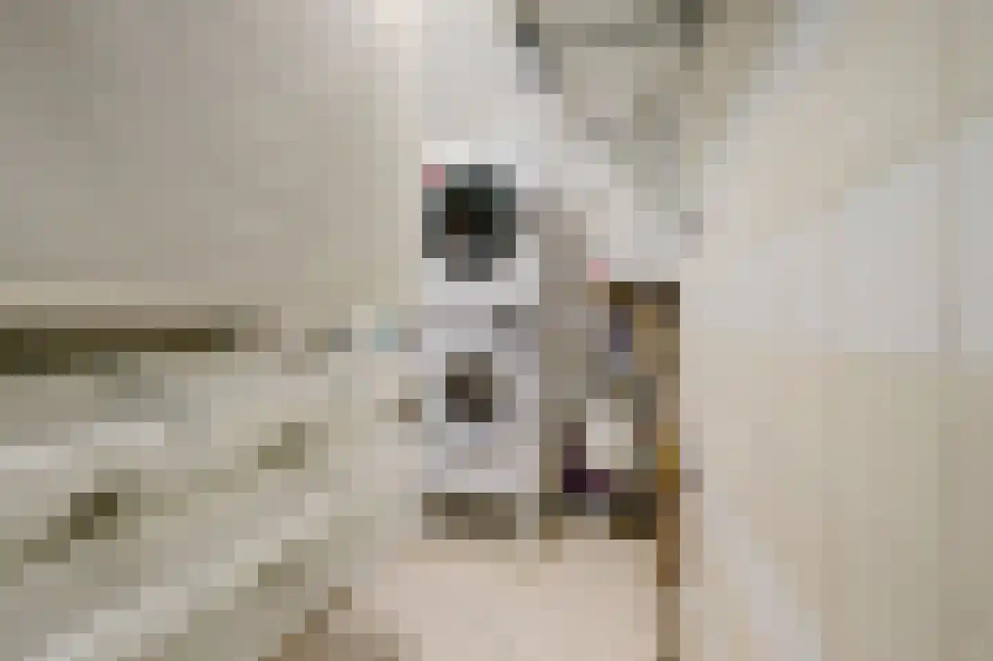 Paddestoelenlaan 62 Veenendaal thumbnail 30