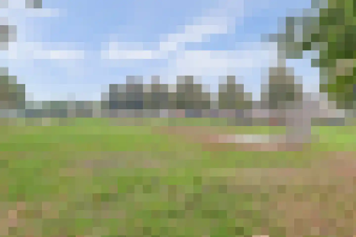 Paddestoelenlaan 62 Veenendaal thumbnail 39