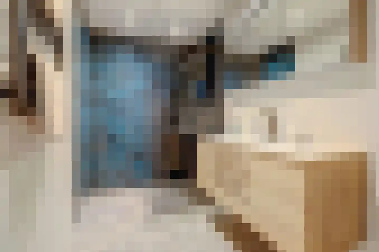 Paddestoelenlaan 62 Veenendaal thumbnail 5