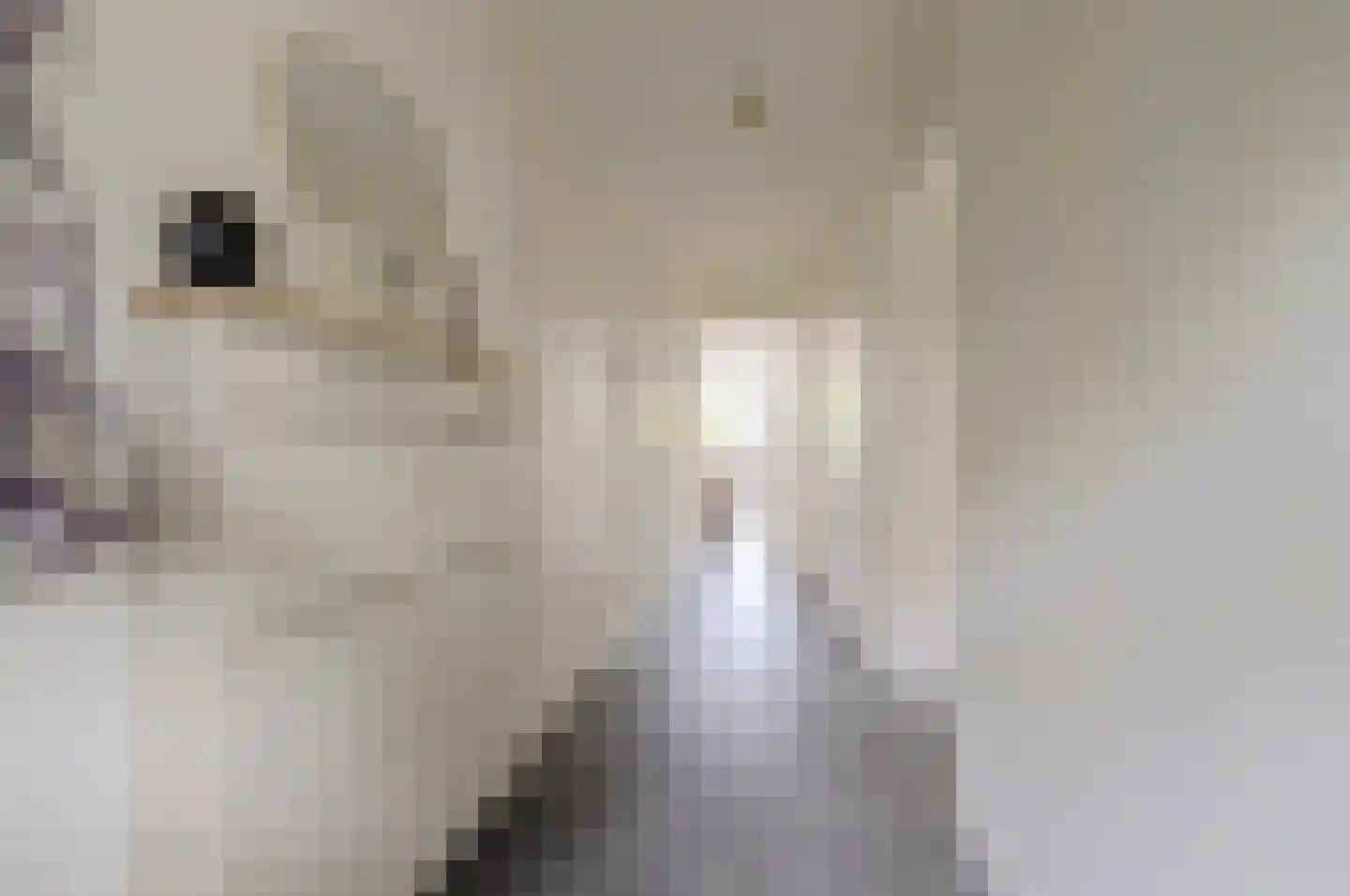 Paddestoelenlaan 62 Veenendaal thumbnail 8