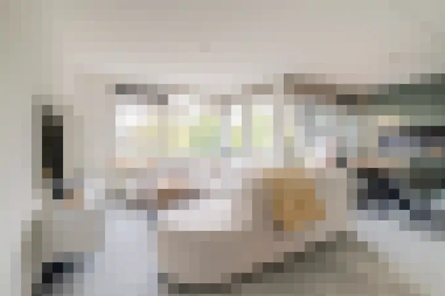 Paddestoelenlaan 62 Veenendaal thumbnail 9
