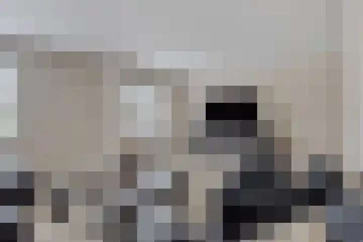 Paddestoelenlaan 65 Veenendaal thumbnail 11