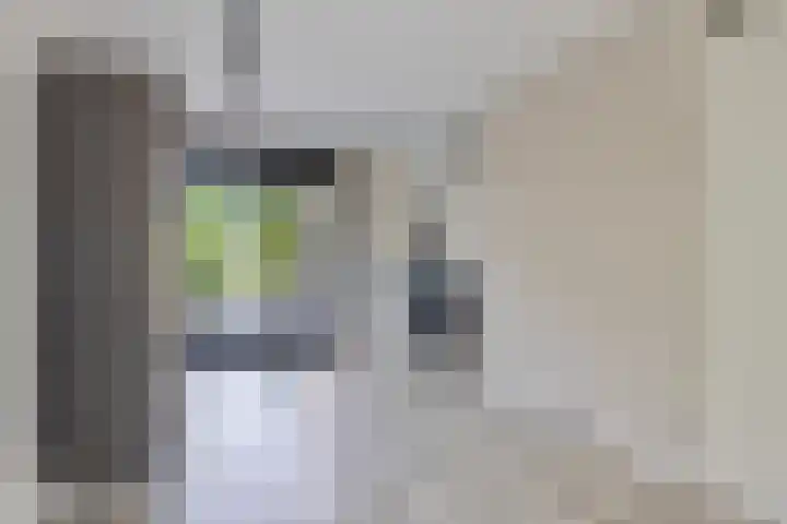 Paddestoelenlaan 65 Veenendaal thumbnail 12