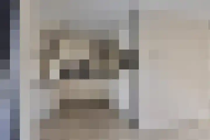 Paddestoelenlaan 65 Veenendaal thumbnail 13