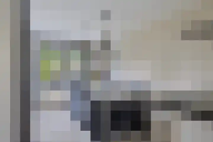 Paddestoelenlaan 65 Veenendaal thumbnail 15