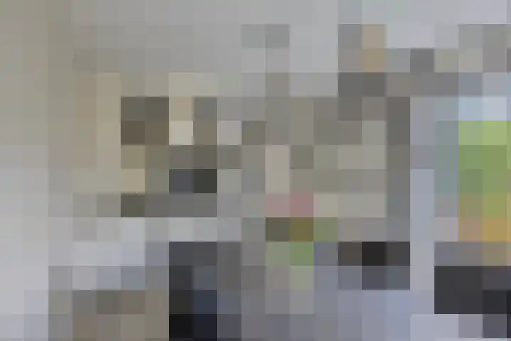 Paddestoelenlaan 65 Veenendaal thumbnail 16