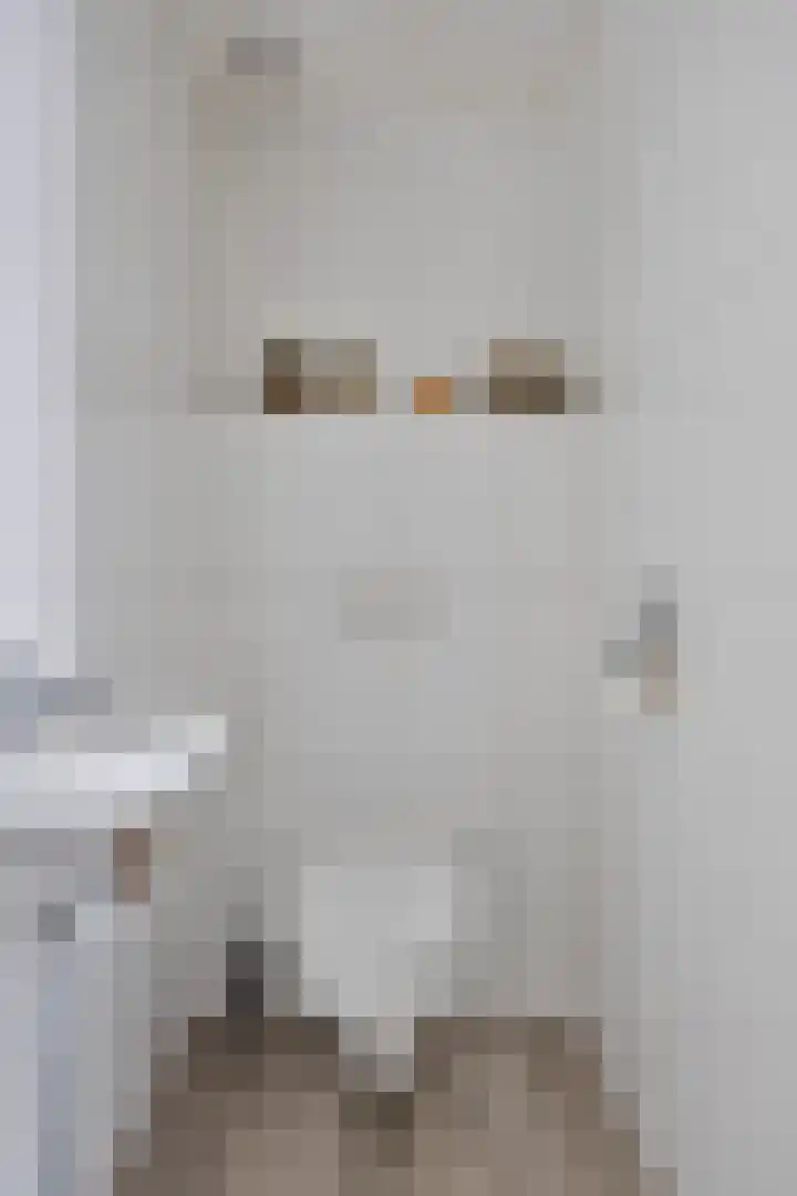 Paddestoelenlaan 65 Veenendaal thumbnail 18