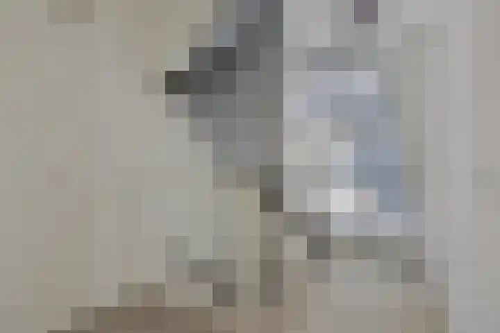 Paddestoelenlaan 65 Veenendaal thumbnail 19