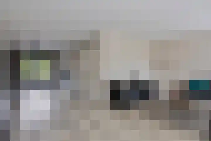 Paddestoelenlaan 65 Veenendaal foto 2