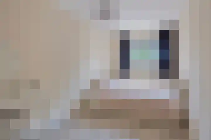 Paddestoelenlaan 65 Veenendaal thumbnail 24