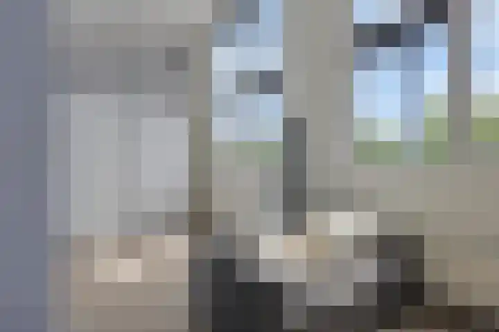 Paddestoelenlaan 65 Veenendaal thumbnail 28