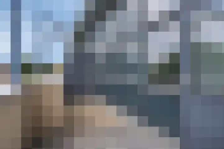 Paddestoelenlaan 65 Veenendaal thumbnail 29