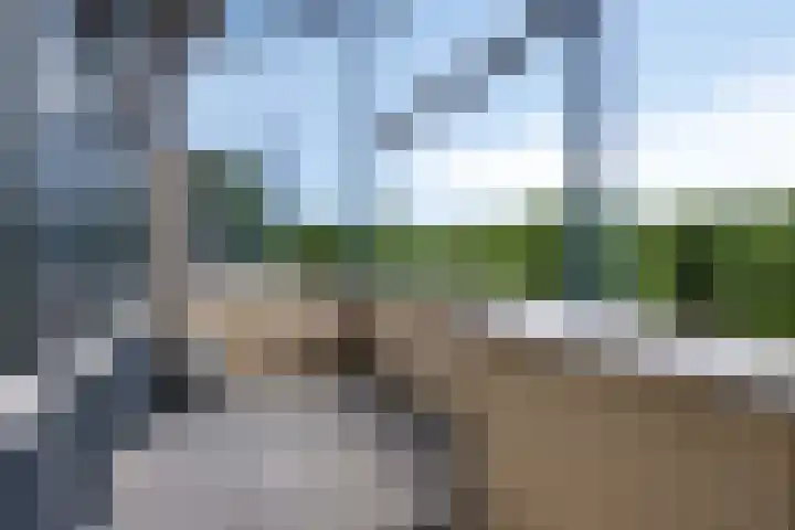 Paddestoelenlaan 65 Veenendaal thumbnail 30