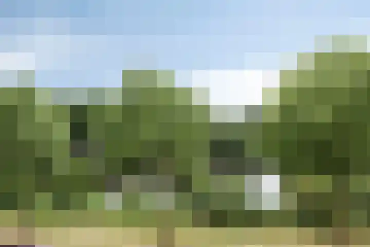 Paddestoelenlaan 65 Veenendaal thumbnail 31