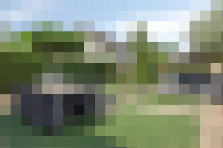Paddestoelenlaan 65 Veenendaal thumbnail 32