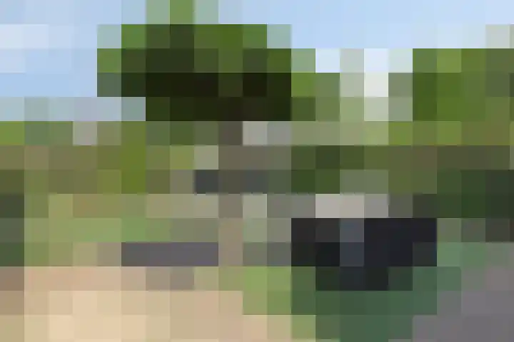 Paddestoelenlaan 65 Veenendaal thumbnail 36