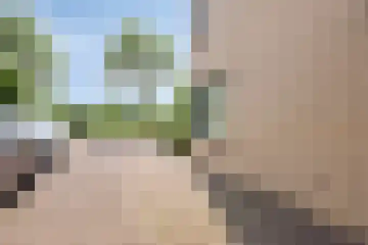 Paddestoelenlaan 65 Veenendaal thumbnail 38