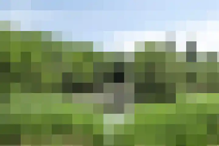 Paddestoelenlaan 65 Veenendaal thumbnail 40