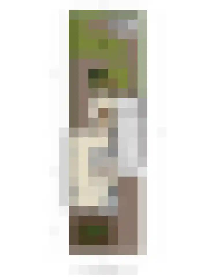 Paddestoelenlaan 65 Veenendaal thumbnail 44