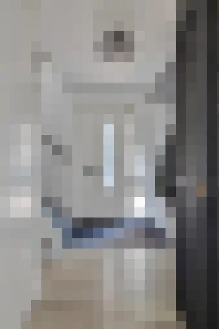 Paddestoelenlaan 65 Veenendaal thumbnail 8